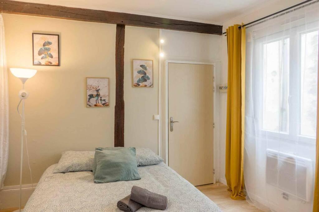Studio Rue Pietonne Орлеан Екстер'єр фото